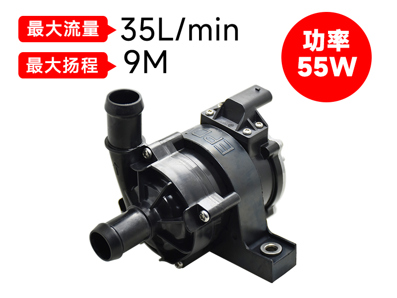 P6219汽車(chē)電子泵（12v）