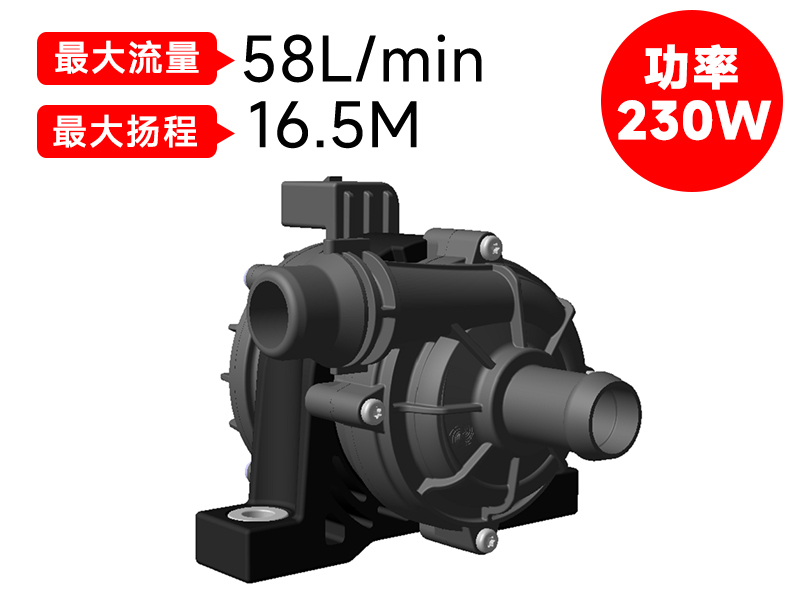 P8018汽車(chē)電子泵(12v)