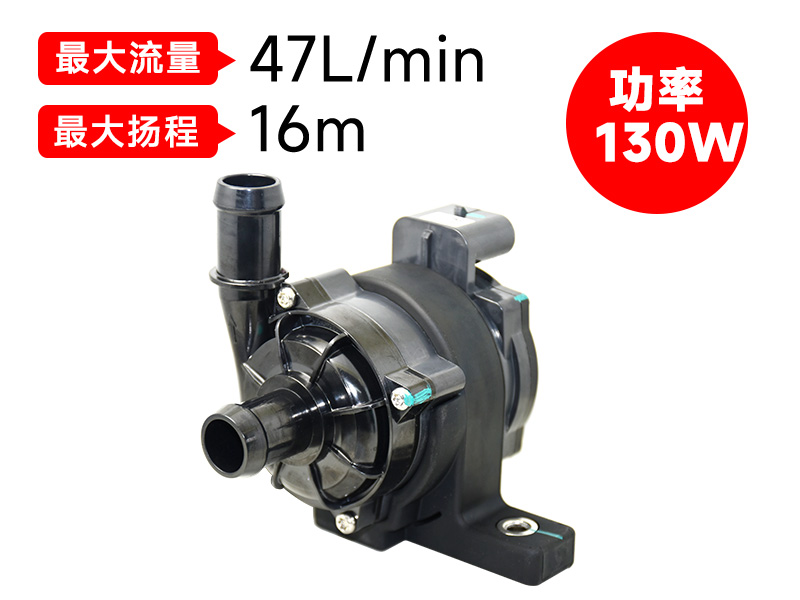 P6220汽車(chē)電子泵(24v)