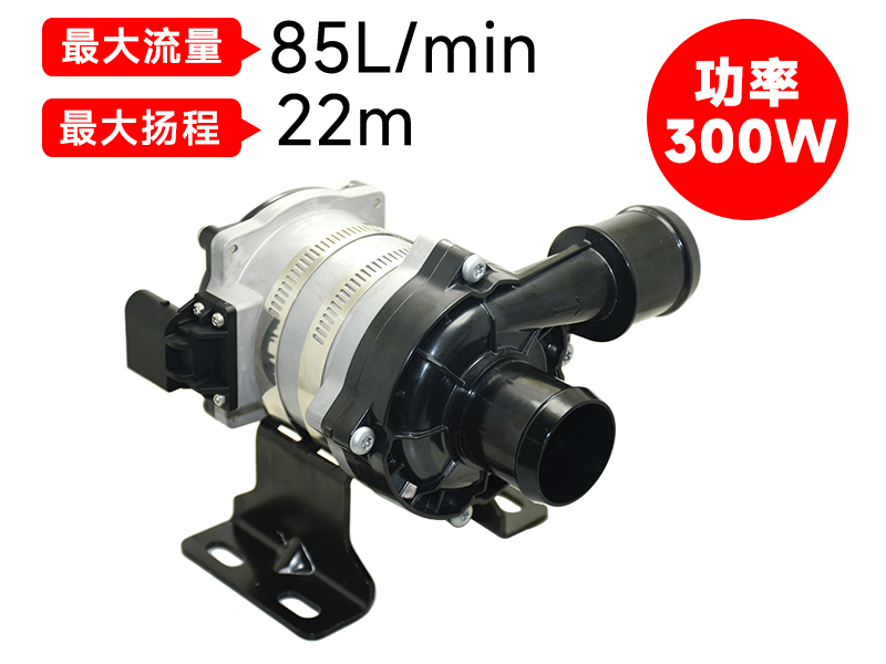 P7509汽車(chē)電子泵(24V)